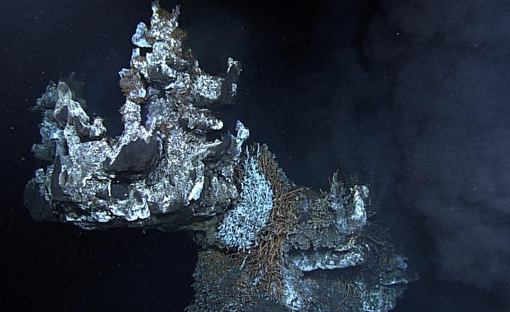 Venting fumeroles just from the crown of Godzilla hydrothermal vent,