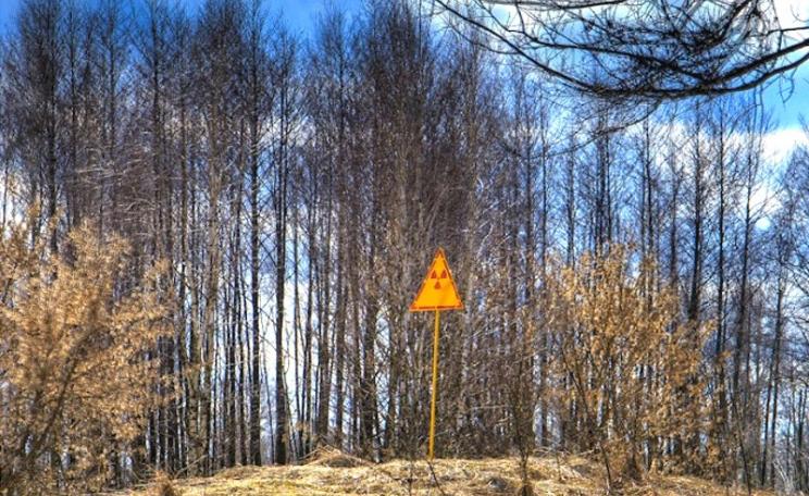 Radioactivity warning sign on the hill at the east end of Chernobyl's Red Forest, so called due to the characteristic hue of the pine trees killed by high levels of radiation after the disaster. Photo: Timm Suess via Wikimedia Commons (CC BY-SA).