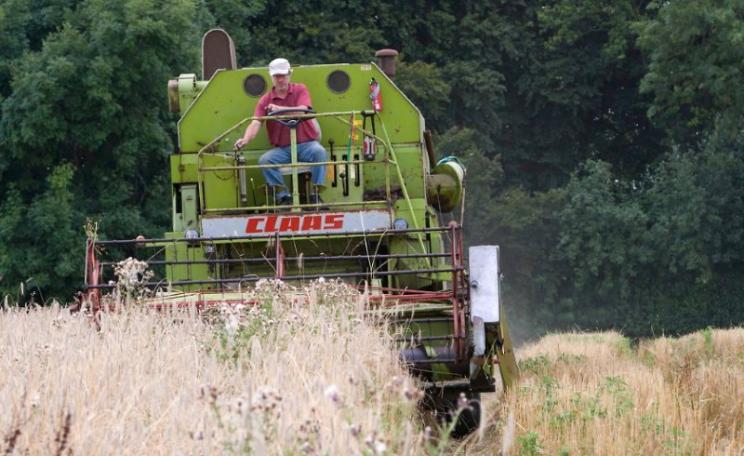 John Letts harvesting his biodiverse crop of heritage wheat on an organic farm in Buckinghamshire. Photo: Adrian Arbib for Resurgence & Ecologist Magazine.