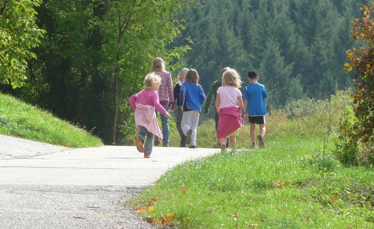 A group of children walking towards large trees