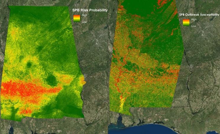Map of outbreaks of southern pine beetles in Alabama