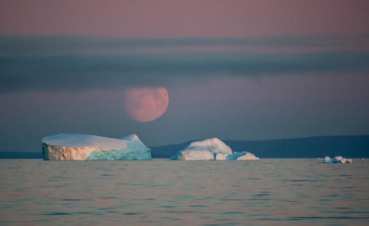Icebergs in Baffin Bay
