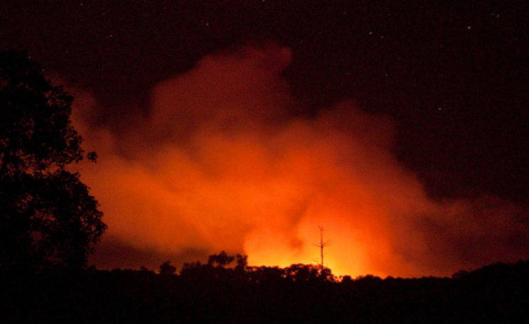 The Tripa Forest burning at night, cleared for palm oil. Photo: Carlos Quiles / RAN -  ran.org/tripa-expose -  via Flickr.com.