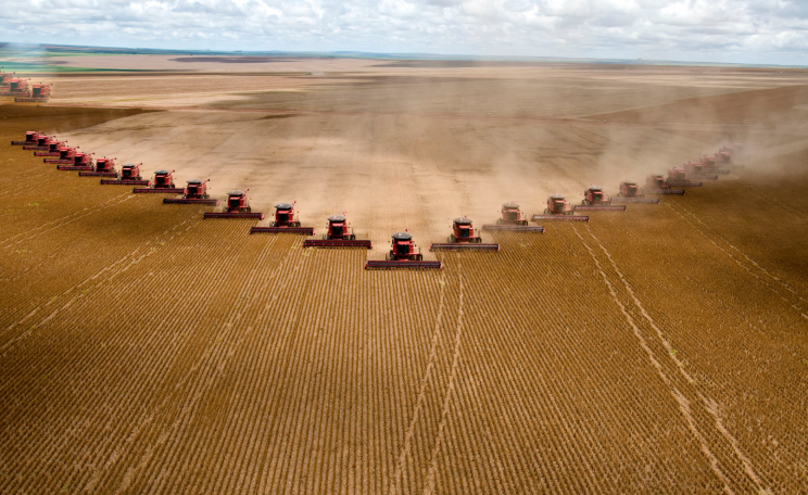 Soybean farming, Mato Grosso
