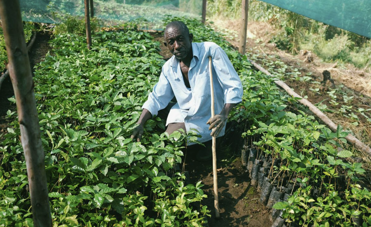 Jackson Bigasaki, caretaker at the permaculture demonstration garden in Bikunya